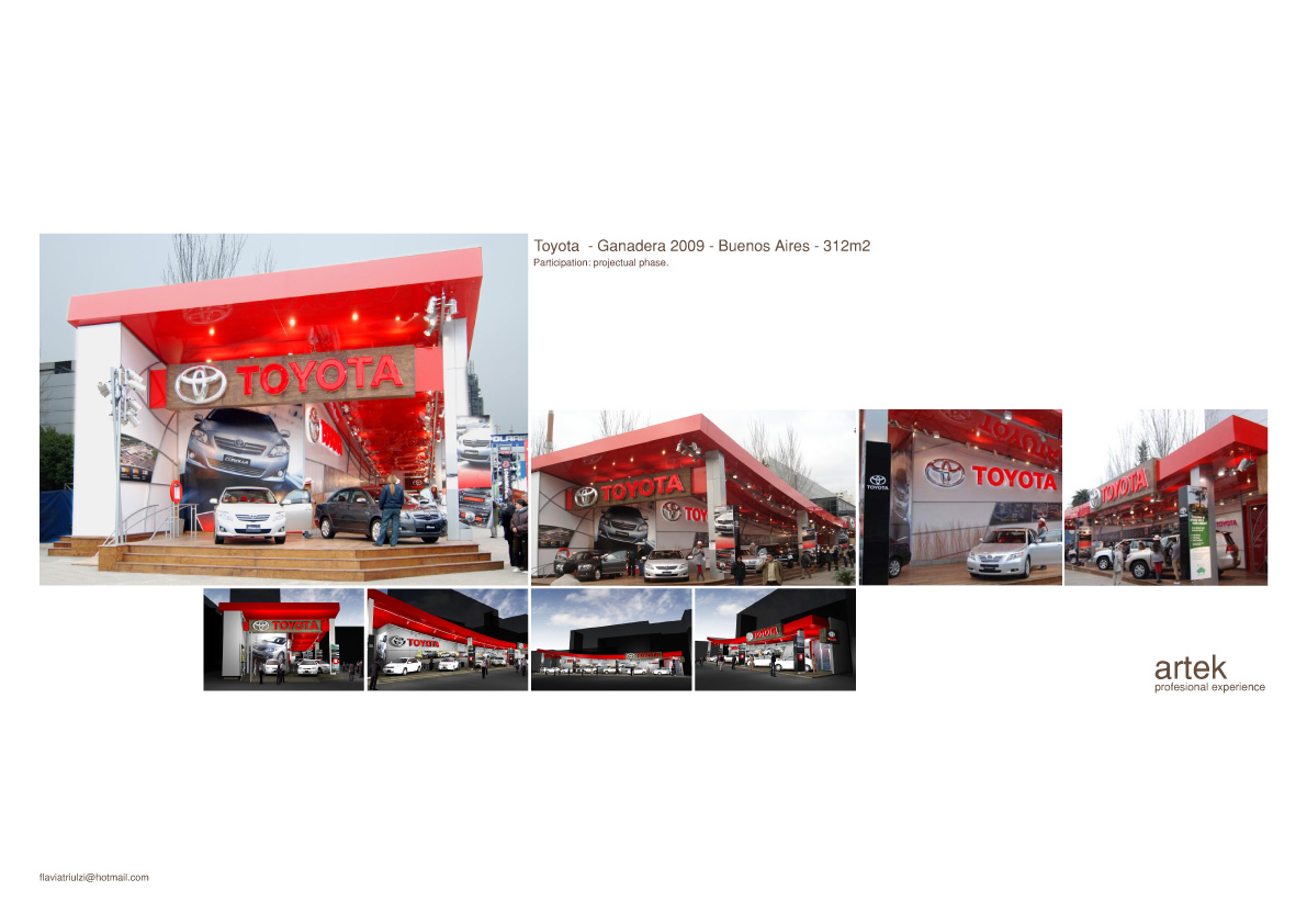 CONTACT: flaviatriulzi@hotmail.com | mobile +47. 45 18 19 78